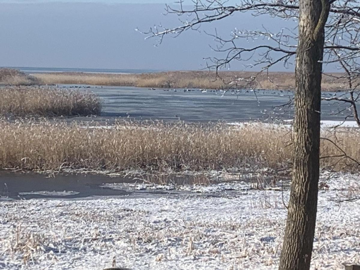 Lakeview & Wildlife Au Gres Экстерьер фото