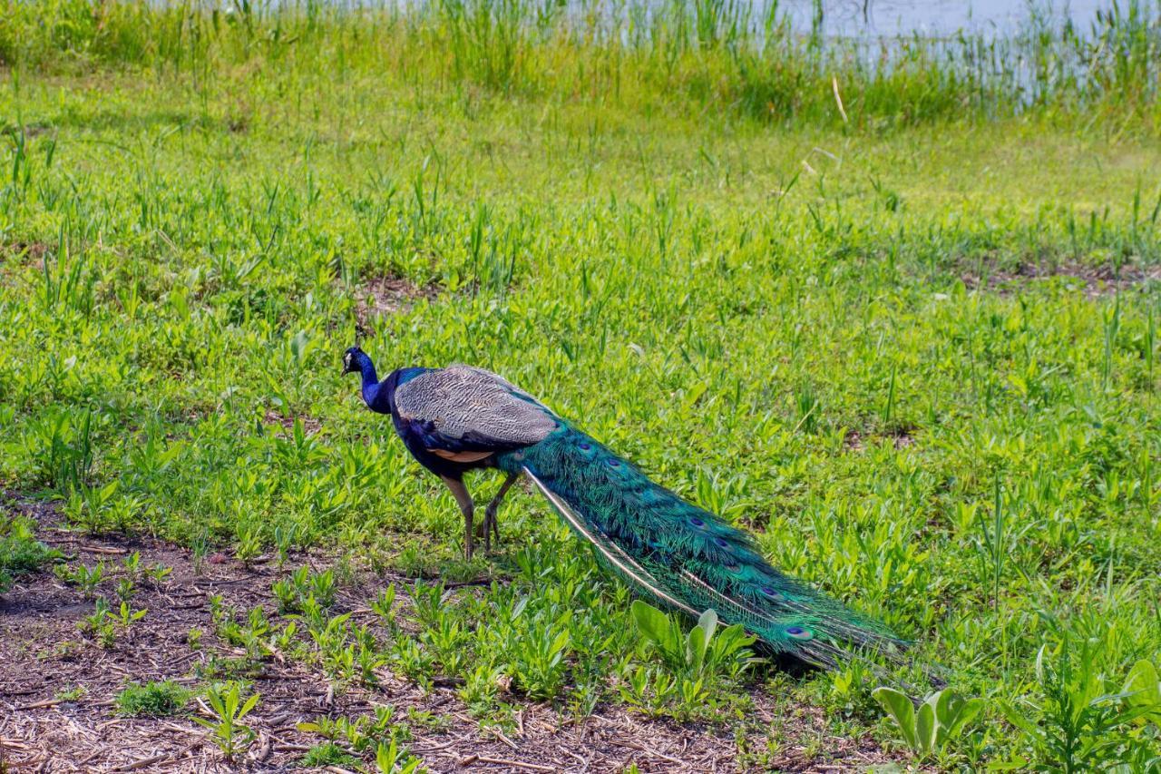 Lakeview & Wildlife Au Gres Экстерьер фото